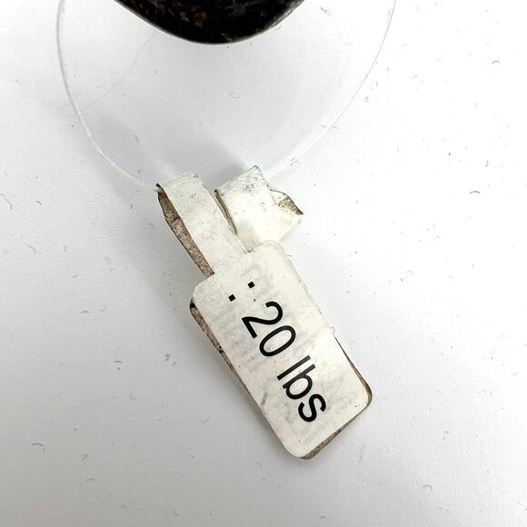 Cast Iron Whale Tail Sea Creatures Coat Hook Bathroom Hall Tree Towel Holder NEW - Picture 3 of 5